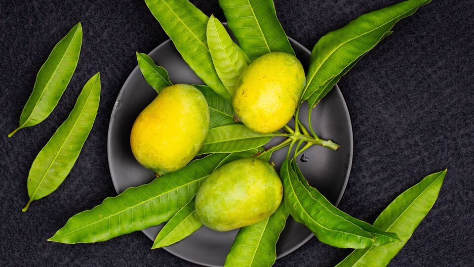 పూజా కార్యక్రమాల్లో మామిడి ఆకులు ఎందుకు ఉపయోగిస్తారో తెలుసా?-why mango leaves uses in puja ceremonies and what are the significance of mango leaves ,రాశి ఫలాలు న్యూస్