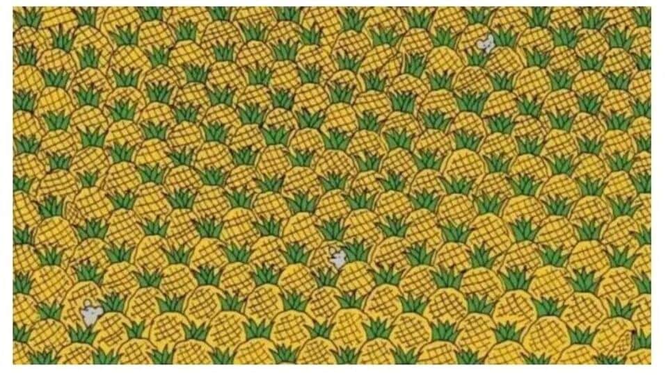 ఈ ఆప్టికల్ ఇల్యుషన్లో పైనాపిల్స్ మధ్యలో మూడు మొక్కజొన్నలు ఇరుక్కున్నాయి, అవి ఎక్కడున్నాయో కనిపెట్టండి-in this optical illusion three corns are stuck in the middle of pineapples guess where they are ,లైఫ్‌స్టైల్ న్యూస్