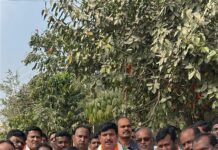 మాటలతో కాదు.. చేతలతో చూపిస్తా..!