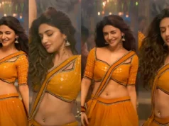 Sreeleela: శ్రీలీల బిగ్ రిస్క్.. ఏకంగా విమర్శలు ఎదుర్కుంటున్న హీరోతో!